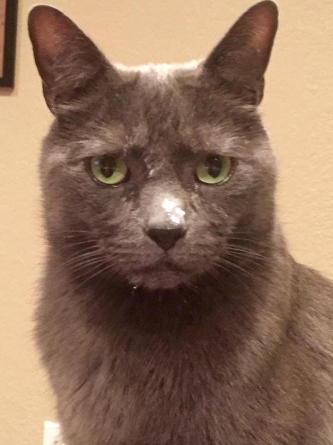 13103418_727673529870_8377014021121736346_n